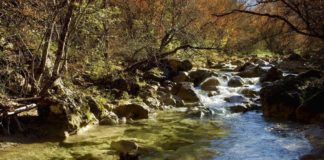 Река Бельбек, самая полноводная река Крыма Река Бельбек, самая полноводная река Крыма