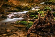 Река Улу-Узень Алуштинский, Алушта Река Улу-Узень Алуштинский, Алушта