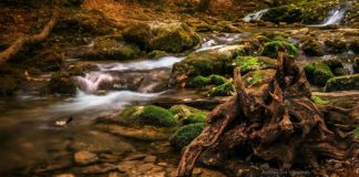 Река Улу-Узень Алуштинский, Алушта Река Улу-Узень Алуштинский, Алушта