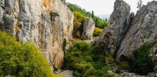 Никитская расселина (Аянские скалы), ландшафтный памятник природы в пос. Никита (Ялта) Никитская расселина (Аянские скалы), ландшафтный памятник природы в пос. Никита (Ялта)