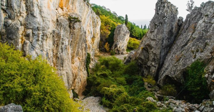 Никитская расселина (Аянские скалы), ландшафтный памятник природы в пос. Никита (Ялта) Никитская расселина (Аянские скалы), ландшафтный памятник природы в пос. Никита (Ялта)