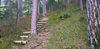 Боткинская тропа-терренкур в Ялте Боткинская тропа-терренкур в Ялте