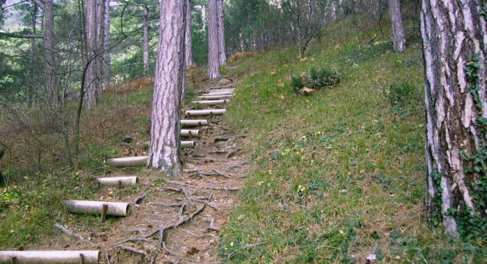 Боткинская тропа-терренкур в Ялте Боткинская тропа-терренкур в Ялте