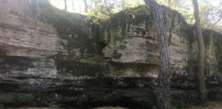 Плачущая скала на реке Западный Булганак, в окрестностях Симферополя Плачущая скала на реке Западный Булганак, в окрестностях Симферополя