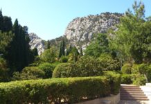 Курортный парк в Симеизе, у подножия горы Ай-Панда Курортный парк в Симеизе, у подножия горы Ай-Панда