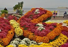 Цветочная выставка «Бал Хризантем» в Севастополе. Осень-2014 Цветочная выставка "Бал Хризантем" в Севастополе. Осень-2014