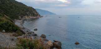 Мыс Мартьян, природный заповедник в пос.Никита, Ялта Природный заповедник "Мыс Мартьян", пос.Никита Ялта