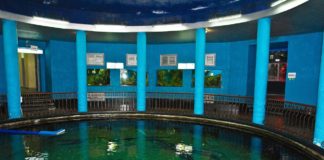 Аквариум-музей в Севастополе, старейший в мире аквариум Аквариум-музей в Севастополе