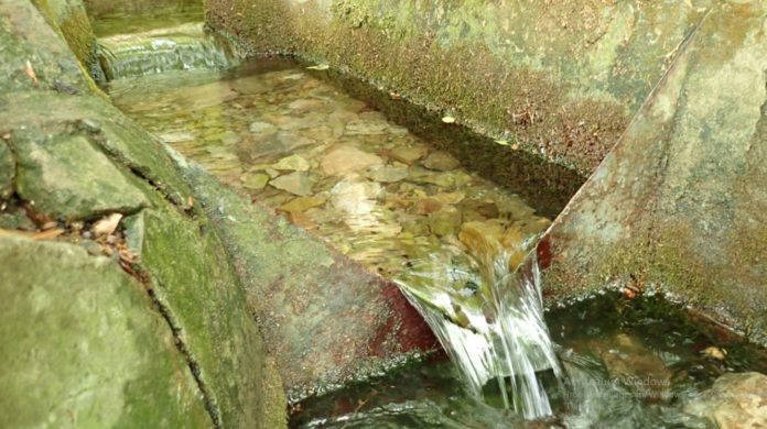 Целебный источник Ай-Йори в окрестностях Алушты, как добраться Целебный источник Ай-Иори в окрестностях Алушты, как добраться