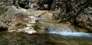 Ускутские водопады на реке Ускут, Зеленогорье Ускутские водопады на реке Ускут