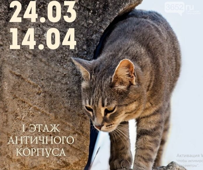 «На мягких лапах сквозь века» — выставка античных котов в «Херсонесе Таврическом» «На мягких лапах сквозь века» - выставка античных котов в "Херсонесе Таврическом"