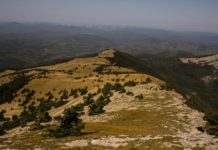 Гора Кемаль-Эгерек (1529м), вершина Ялтинской Яйлы Гора Кемаль-Эгерек (1529м), вершина Ялтинской Яйлы