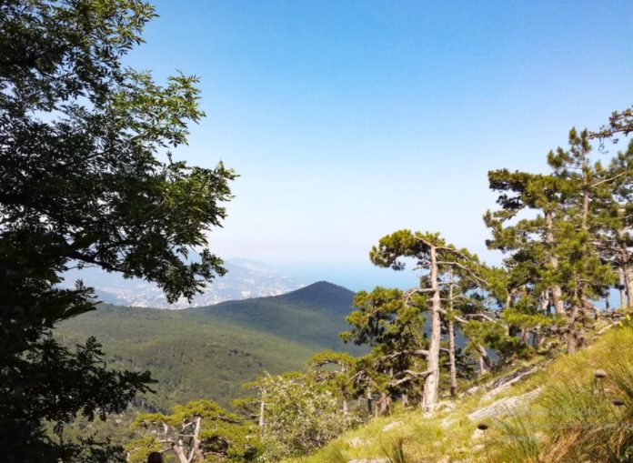 Кореизская тропа на плато Ай-Петри Кореизская тропа на плато Ай-Петри