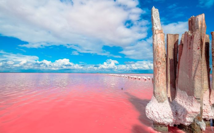 Соленые озера Крыма, краткий список и фотообзор Соленые озера Крыма, краткий список и фотообзор