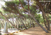 Форосский парк, фотопрогулка по парку, как доехать и где парковаться Форосский парк, фотопрогулка по парку, как доехать и где парковаться