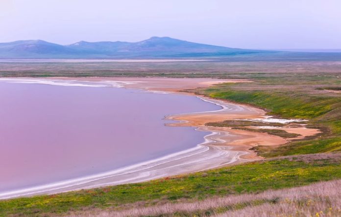 Кояшское озеро в Опукском заповеднике, сентябрь на Розовом озере