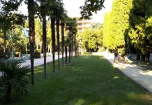 Мисхорский парк, пляж и набережная, наш видеоэкскурс август 2018 Мисхорский парк, пляж и набережная, наш видеообзор август 2018