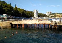 Наша видео-экскурсия по Мисхорскому парку, пляж «Русалка», набережная Мисхора Наша видео-экскурсия по Мисхорскому парку, пляж "Русалка", набережная Мисхора