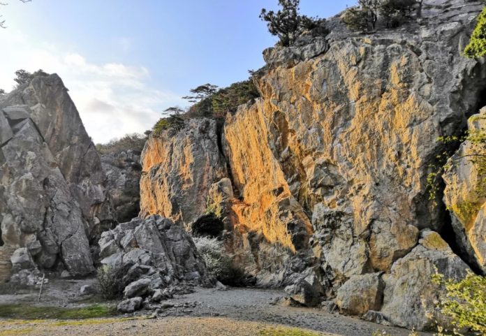 Аянские скалы (Никитская расселина), пос.Никита (Ялта) Аянские скалы (Никитская расселина), пос.Никита (Ялта)