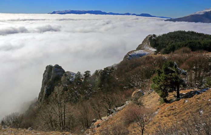 Вершина Северная Демерджи (1359м) на Демерджи-яйле, Алушта Вершина Северная Демерджи (1359м) на Демерджи-яйле, Алушта