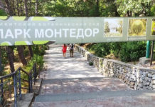 Парк «Монтедор» в Никитском Ботаническом саду в Никите, Ялта Парк Монтедор в Никитском Ботаническом саду в Никите, Ялта