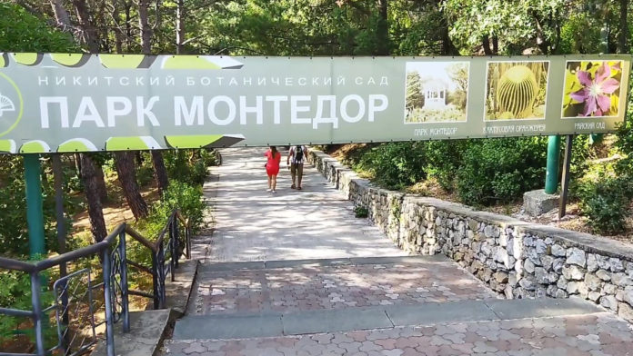 Парк «Монтедор» в Никитском Ботаническом саду в Никите, Ялта Парк Монтедор в Никитском Ботаническом саду в Никите, Ялта