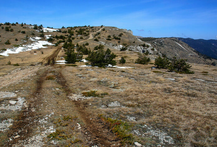 Вершина Джады-Бурун (1422м) или «Ведьмина гора», самая высокая гора над Ялтой Вершина Джады-Бурун (1422м) или "Ведьмина гора", самая высокая гора над Ялтой
