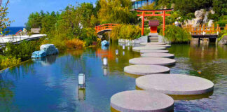 Японский сад «Шесть чувств», жемчужина Крыма: сакура, камни и философия Японский сад "Шесть чувств", жемчужина Крыма: сакура, камни и философия