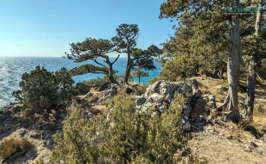 Мыс-Мартьян---Государственный-природный-Заповедник-с-октября-2025