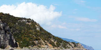 Мыс Мартьян — Государственный природный заповедник (Постановление Правительства РФ №1606 от 15.10.25) Мыс Мартьян - Государственный природный заповедник (Постановление Правительства РФ №1606 от 15.10.25)