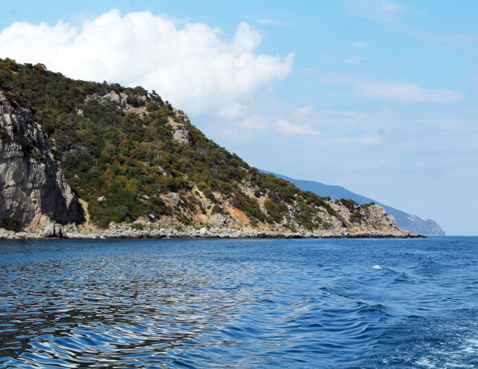 Мыс Мартьян — Государственный природный заповедник (Постановление Правительства РФ №1606 от 15.10.25) Мыс Мартьян - Государственный природный заповедник (Постановление Правительства РФ №1606 от 15.10.25)