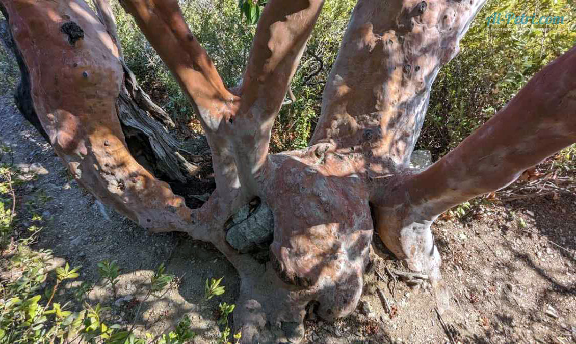 Мыс-Мартьян---удивительная-природа,-Государственный-природный-Заповедник