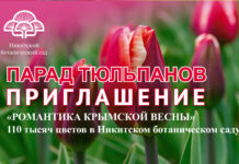 🌷 ПАРАД ТЮЛЬПАНОВ 2026 В НИКИТСКОМ САДУ, открытие 27 марта: «Романтика Крымской Весны», 110 тысяч тюльпанов! 🌷 ПАРАД ТЮЛЬПАНОВ 2026 В НИКИТСКОМ САДУ, открытие 27 марта: «Романтика Крымской Весны», 110 тысяч тюльпанов!