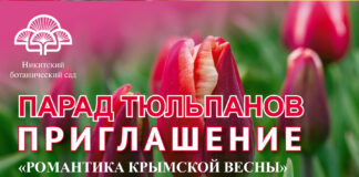 🌷 ПАРАД ТЮЛЬПАНОВ 2026 В НИКИТСКОМ САДУ, открытие 27 марта: «Романтика Крымской Весны», 110 тысяч тюльпанов! 🌷 ПАРАД ТЮЛЬПАНОВ 2026 В НИКИТСКОМ САДУ, открытие 27 марта: «Романтика Крымской Весны», 110 тысяч тюльпанов!