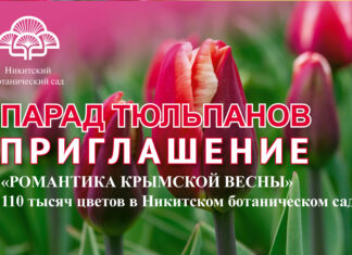 🌷 ПАРАД ТЮЛЬПАНОВ 2026 В НИКИТСКОМ САДУ, открытие 27 марта: «Романтика Крымской Весны», 110 тысяч тюльпанов!