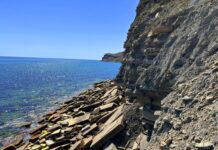 Шоколадный пляж в бухте Бугаз в Крыму: уникальный природный феномен в 15 минутах от Судака Шоколадный пляж в бухте Бугаз в Крыму: уникальный природный феномен в 15 минутах от Судака