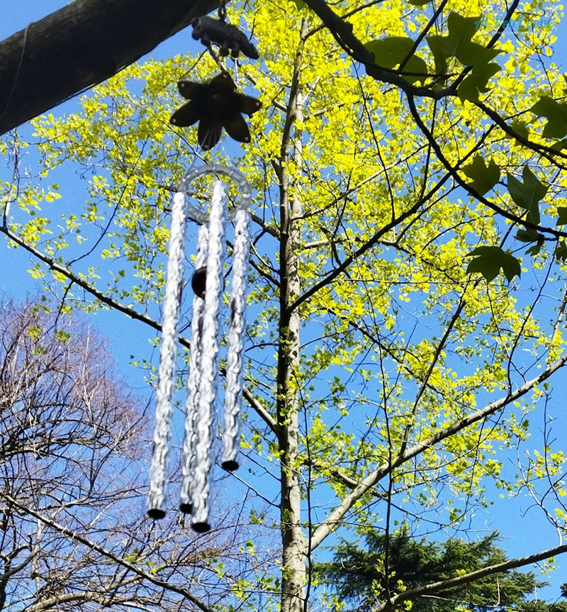 Выставка древовидных пионов в Таинственном  саду в Никитском ботаническом саду