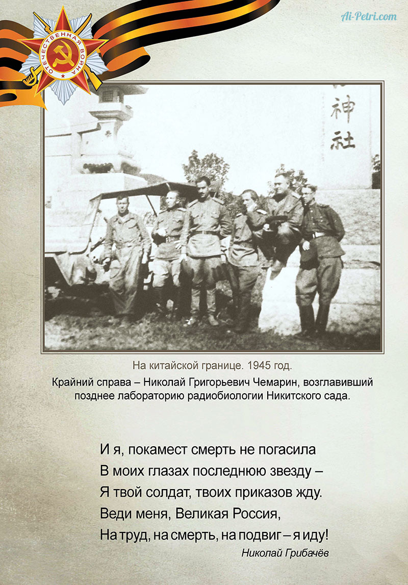 "Живая Память", 9 мая в Никитском Ботаническом саду: живые фронтовые письма-треугольники и живая память о тех, кто не вернулся